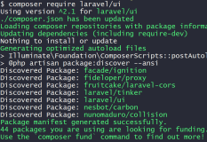 Laravel7使用Auth进行用户认证