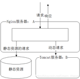 Nginx - Nginx + Tomcat 动静态分离