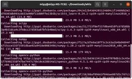 在公司内网搭建 pip 镜像站