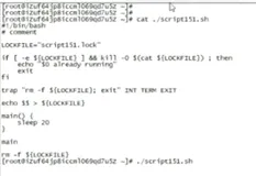 Shell脚本单实例运行|学习笔记