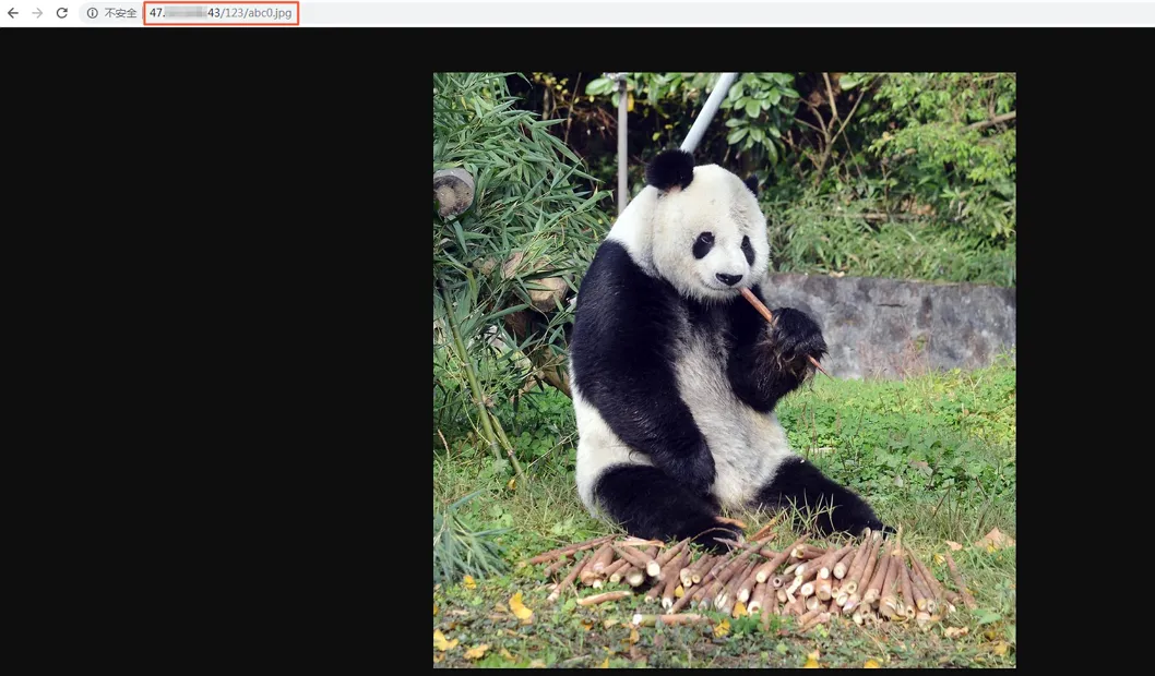 panda.png