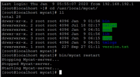 MyCat - 配置文件详解 - server.xml 之 system 配置详解 | 学习笔记