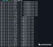 etcd 实战基础篇(二)