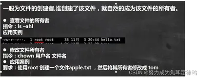 Linux组的介绍：1.文件/目录 所有者相关命令+2.组的创建+3.权限的基本介绍