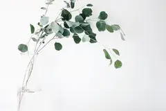 使用函数计算三步实现深度学习 AI 推理在线服务