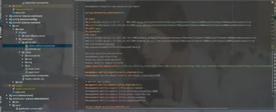 SpringCloud Alibaba Nacos自定义登录用户名和密码