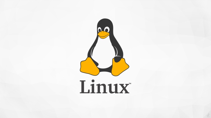 【Linux】深入探索：Linux网络调试、追踪与优化
