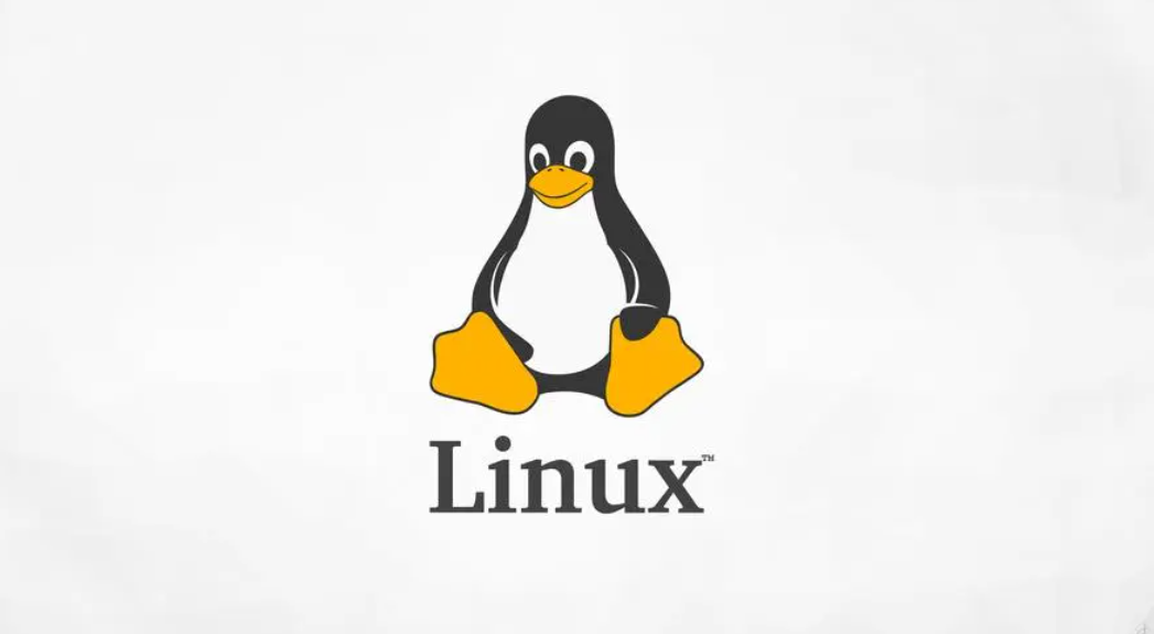 【Linux笔记】用户和权限管理基本命令介绍 