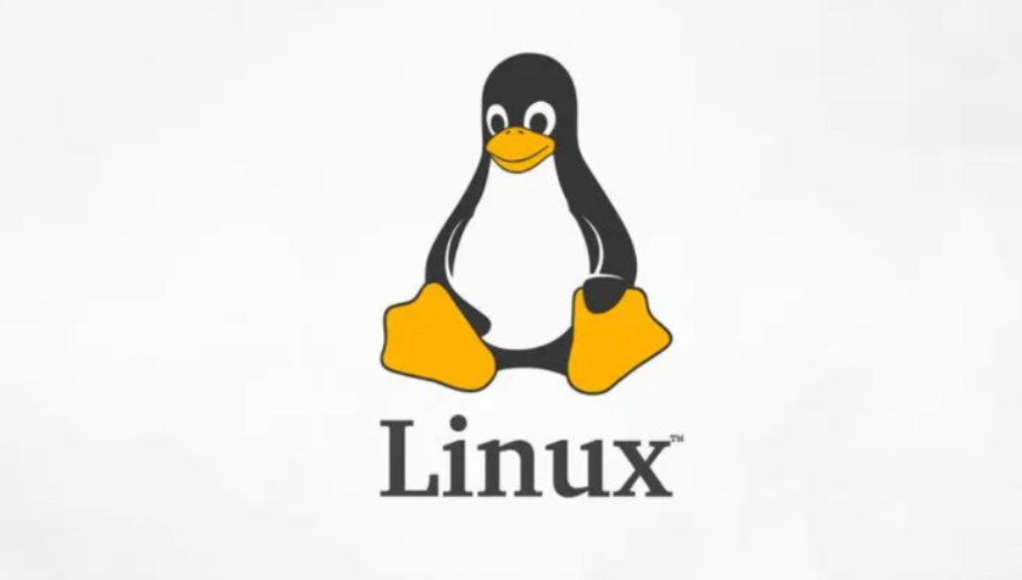 【Linux笔记】文件和目录操作