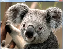 Python 技术篇-使用opencv库读取中文路径图片报错解决办法