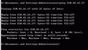 Linux Command ping