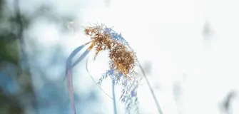 阿里四年技术 TL 的得失总结：如何做好技术 Team Leader