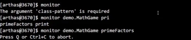 Monitor 监视命令 | 学习笔记
