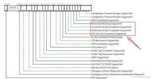 PCIe原子操作（Atomic Operation）