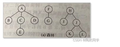 【数据结构】树与森林（二）