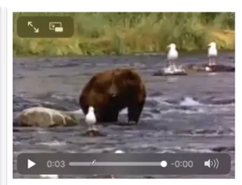 图片92.png 图片92.png