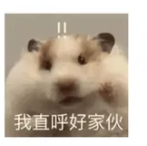 数据库手动备份和定时备份小技巧，不用再跑路了