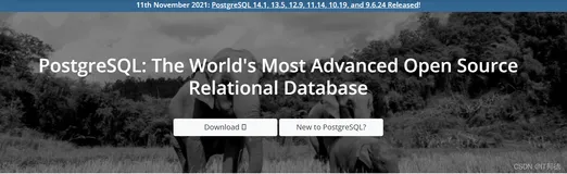 黑马PostgreSQL，为何一黑到底