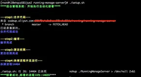 如何优雅的通过Shell脚本一键部署GO项目到服务器 ｜Go主题月