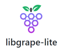 用于并行图处理的 C++ 库libgrape-lite