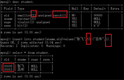 带你学MySQL系列 | MySQL数据类型详解（二）