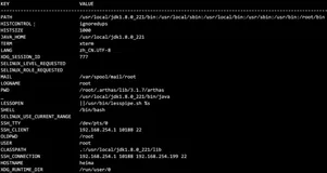 JYM 相关命令之：sysenv、vmoption、getstatic、ognl | 学习笔记