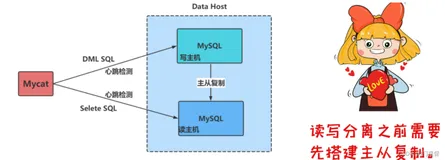 （保姆级）Mycat搭建读写分离