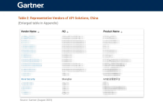 重磅｜瑞数信息入选Gartner中国API领域代表厂商！