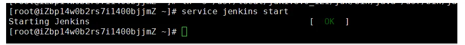 Jenkins安装（Linux版）