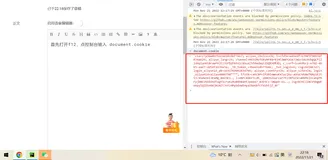 网页开发者工具获取cookie 