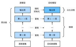 从零开始学Pytorch（十六）之模型微调