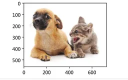 从零开始学Pytorch（十七）之目标检测基础（一）
