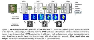注意力机制BAM和CBAM详细解析（附代码）