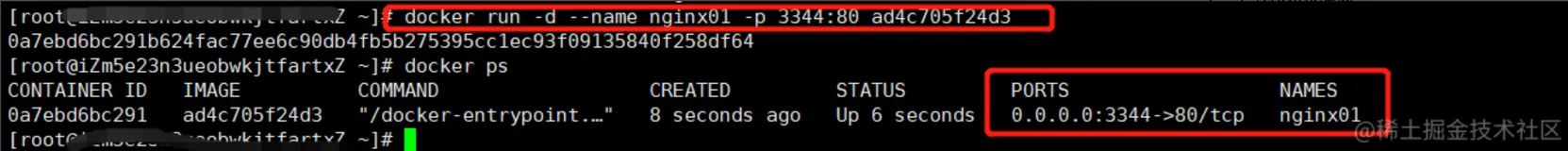 Docker | 部署nginx服务