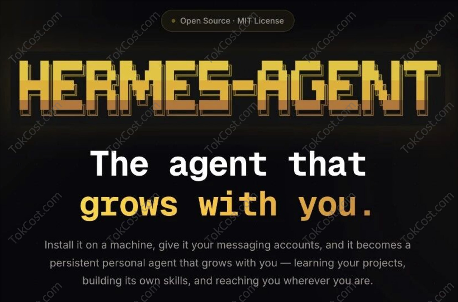 Hermes Agent爱马仕.jpg