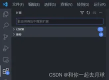 Visual Studio Code 插件安装