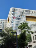 学Go能找到实习吗，年前闲聊Go和Java
