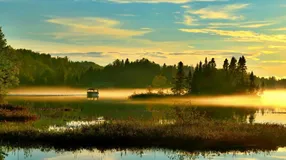 玩转 Go 生态｜Hertz WebSocket 扩展简析