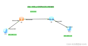 ensp 之ospf