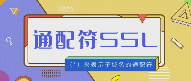 企业级通配符 SSL 证书:企业网络安全的坚实护盾