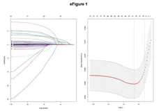 Nat Commun&JAMA INTERN MED|浅析两篇LASSO+Logistic/Cox 套路文章