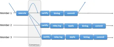 MySQL MGR 8.0高可用实战|学习笔记