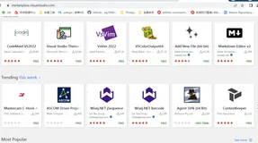 vscode插件离线安装及常见错误