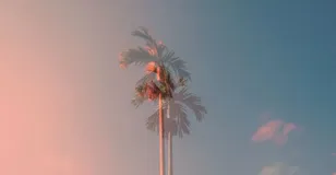 优秀技术人，如何做到高效沟通？