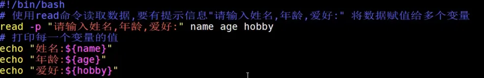 Shell内值命令之read