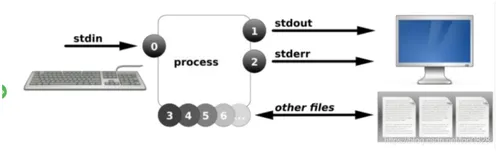 系统管理-Linux重定向与管道