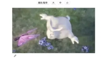 图片93.png 图片93.png
