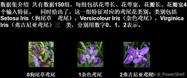 [python] 深度学习基础------人工神经网络实现鸢尾花分类(五)