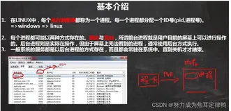 Linux：1.进程介绍+2.Linux父子进程+3.终止进程kill和killall+4.查看进程树pstree+5.service服务管理