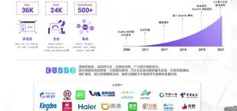 基于 Apache Dubbo 的大规模微服务集群实践调优｜学习笔记